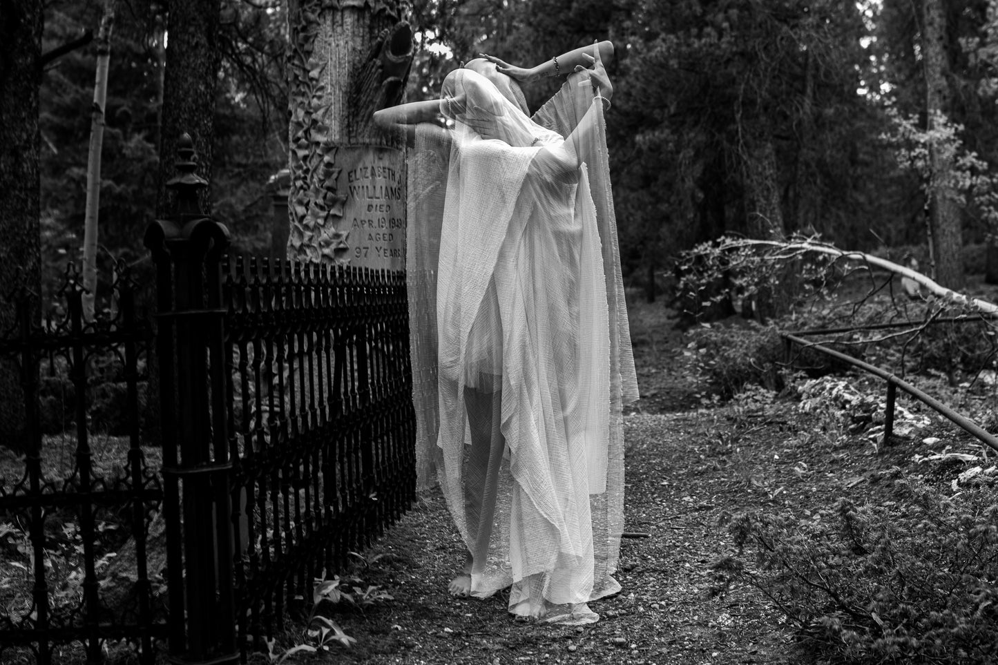 6x4" Banshee Print - Design #1