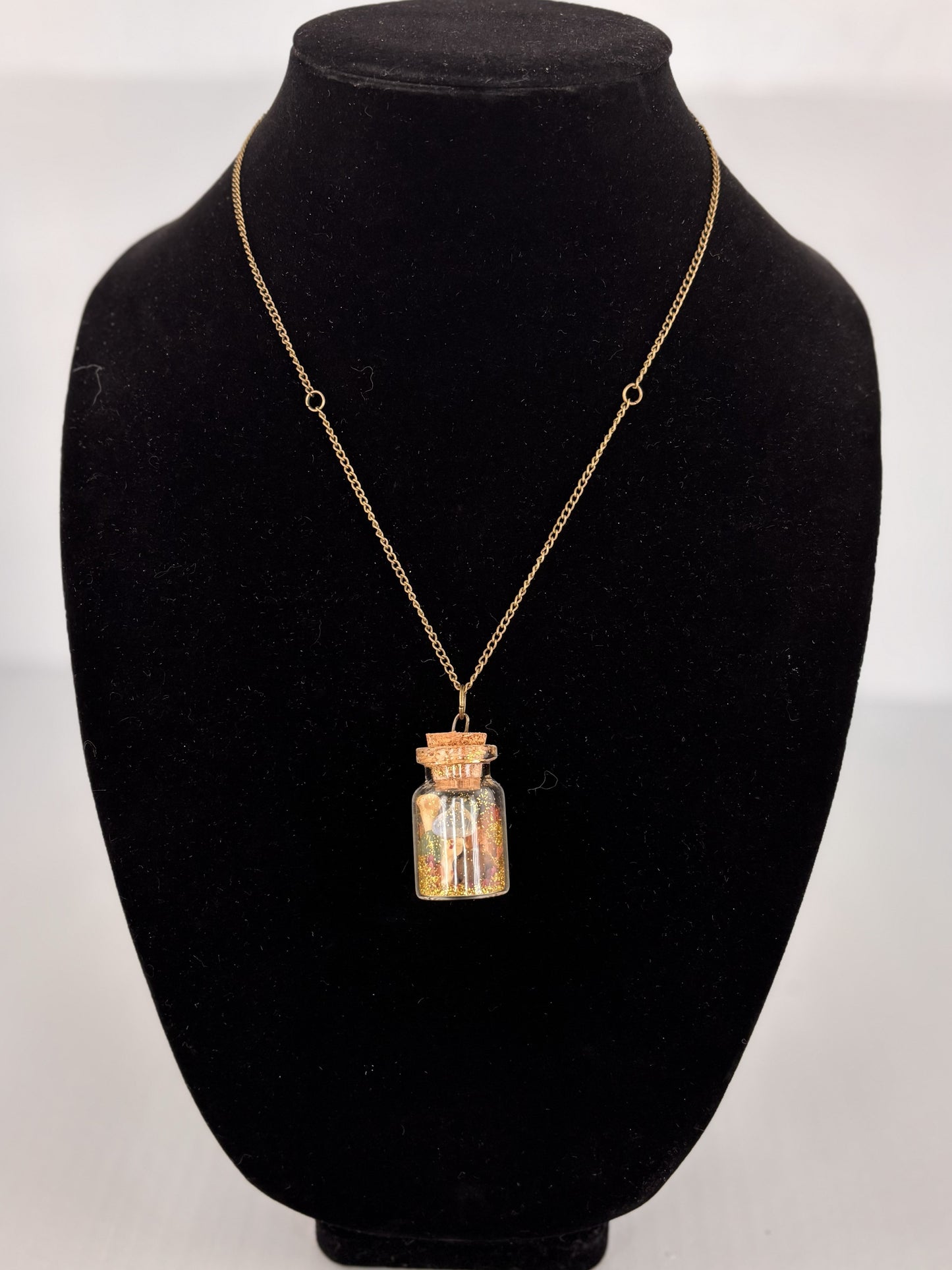 Adventurer's Bounty Jar Necklace - Romantasy Collection