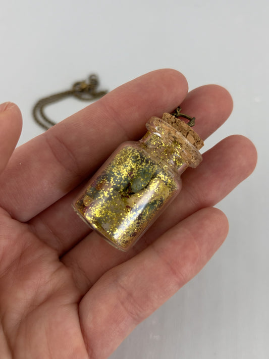 Adventurer's Bounty Jar Necklace - Romantasy Collection